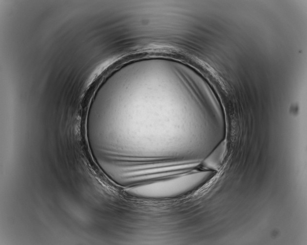 X0000099431066200805301424