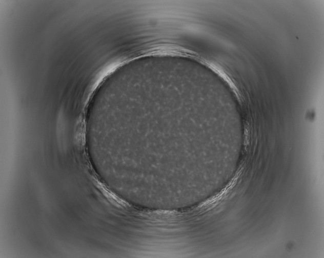 X0000099431067200805301424