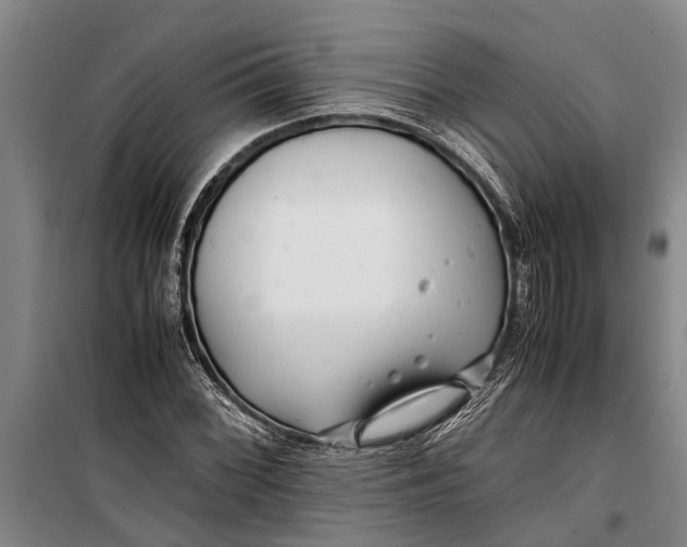 X0000099431068200805301424