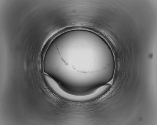 X0000099431069200805301424