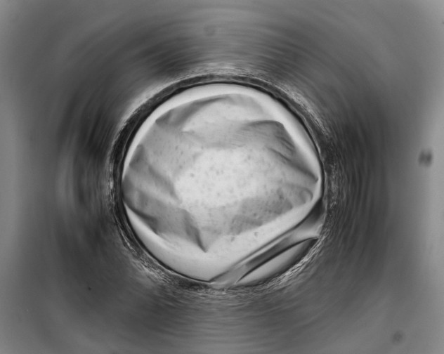 X0000099431070200805301424