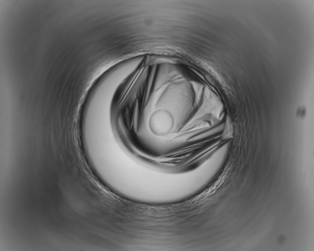 X0000099431071200805301424