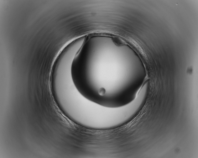 X0000099431076200805301424