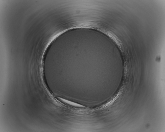 X0000099431077200805301424