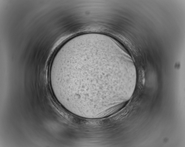 X0000099431078200805301424