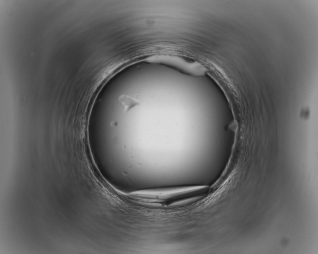 X0000099431081200805301424