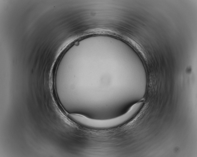 X0000099431082200805301424