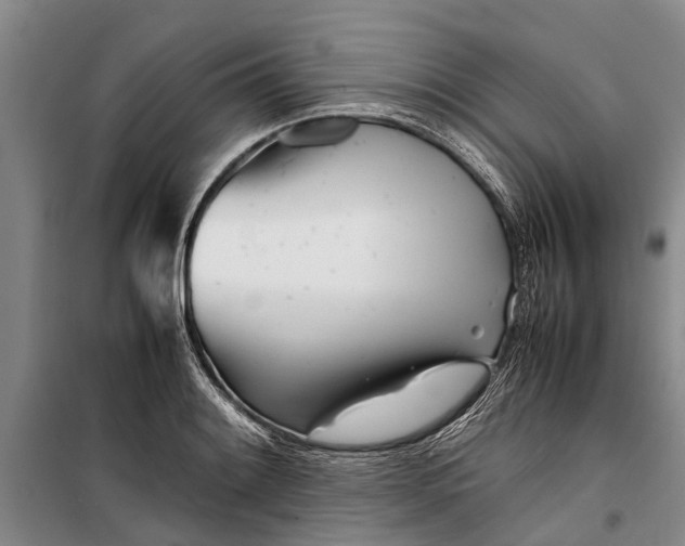 X0000099431084200805301424