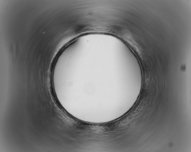 X0000099431085200805301424