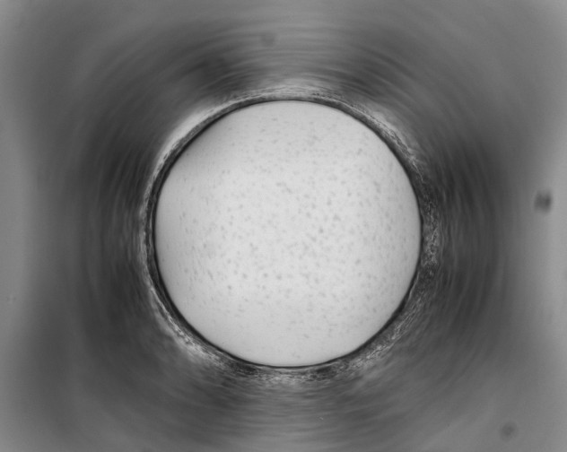 X0000099431086200805301424