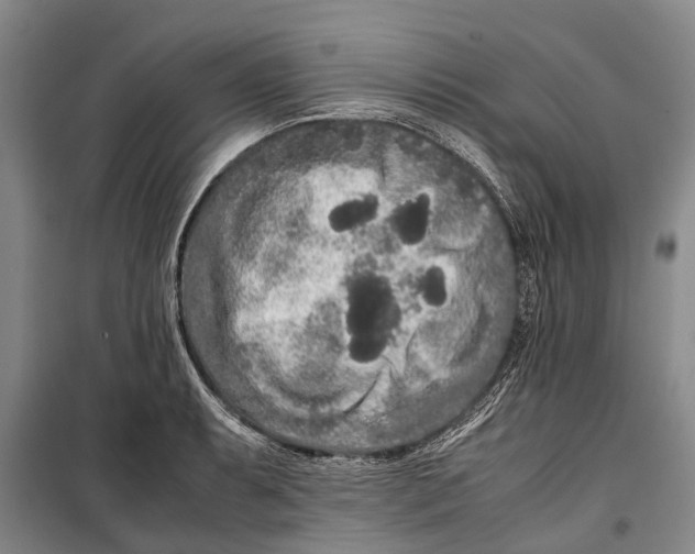 X0000099431087200805301424