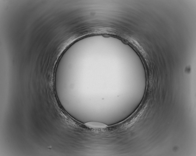 X0000099431089200805301423