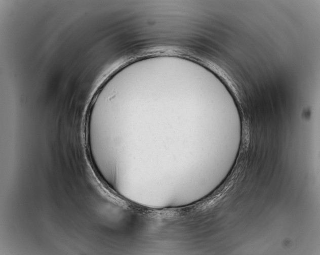 X0000099431090200805301423