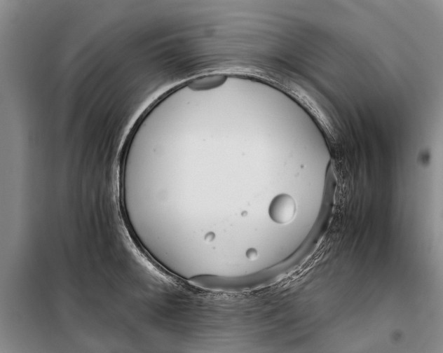 X0000099431092200805301423