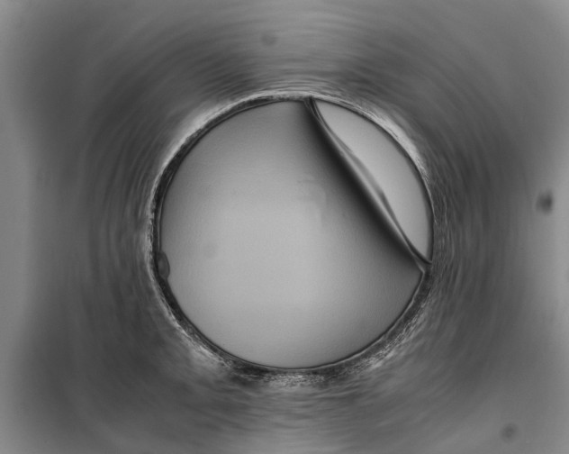 X0000099431093200805301423