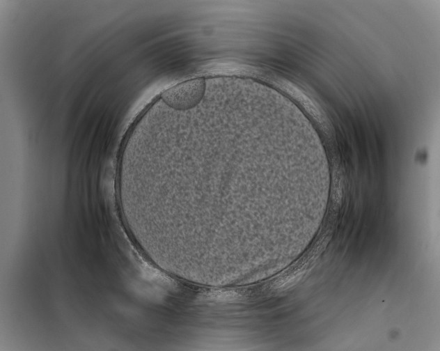 X0000099431094200805301423