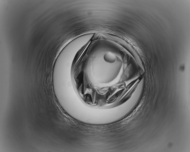 X0000099431097200805301423