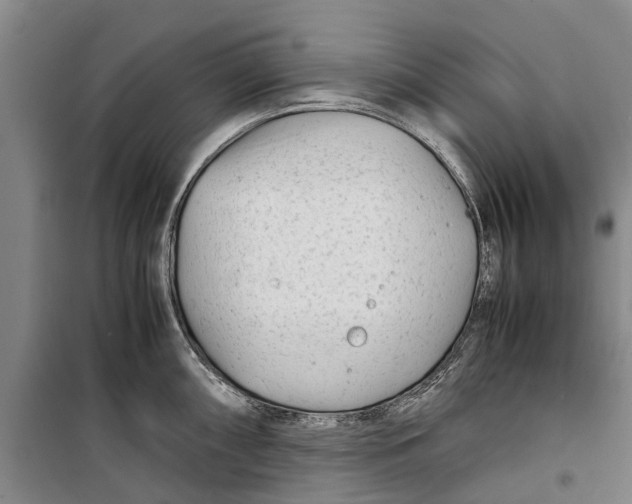 X0000099431098200805301423