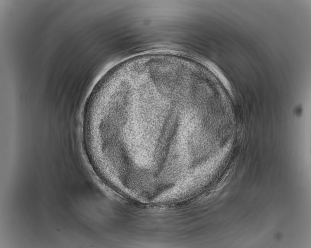 X0000099431099200805301423