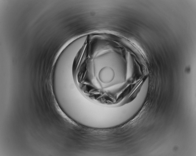 X0000099431100200805301423