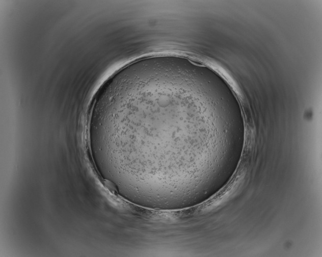 X0000099431101200805301423