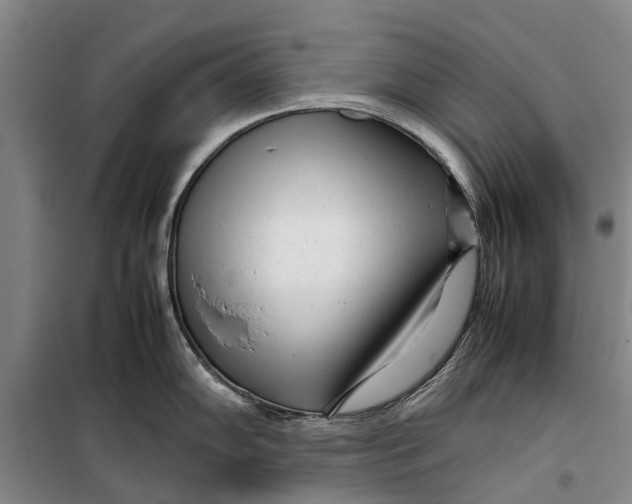 X0000099431102200805301423