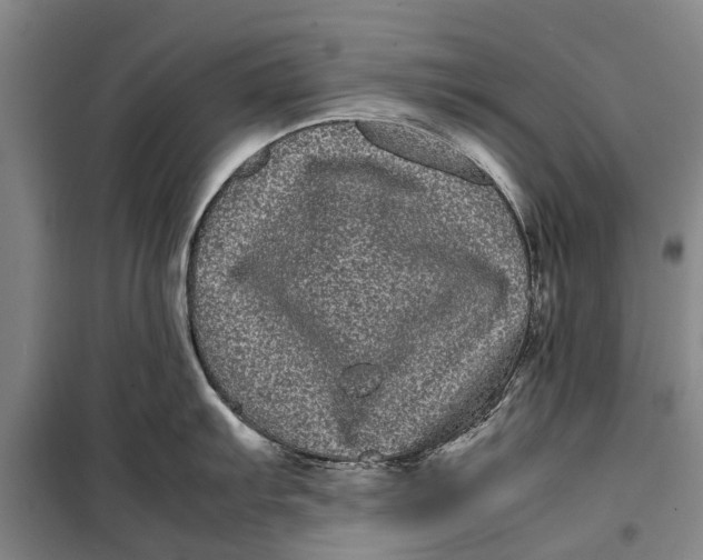 X0000099431103200805301423