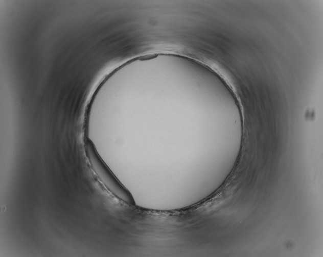 X0000099431104200805301423