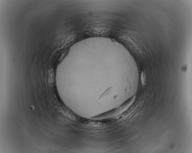 X0000099431107200805301423