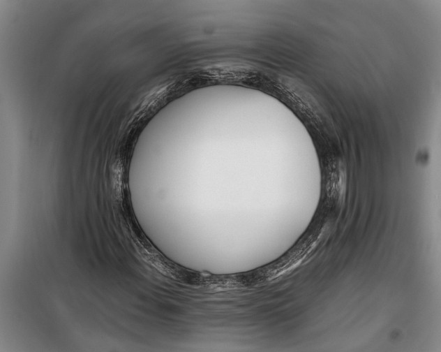 X0000099431108200805301423