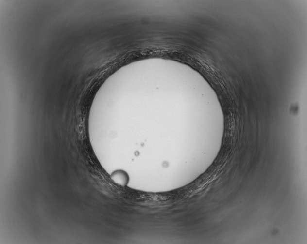 X0000099431109200805301423