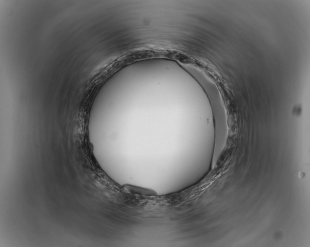 X0000099431110200805301423