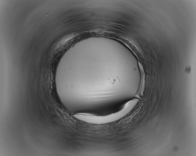 X0000099431111200805301423