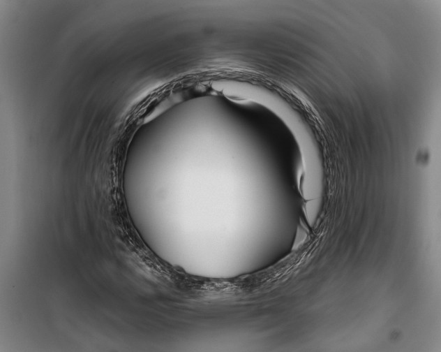 X0000099431112200805301423