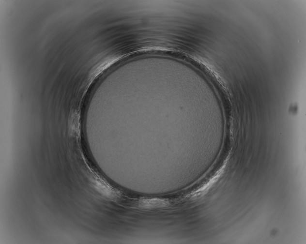 X0000099431113200805301423