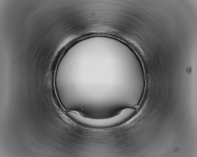 X0000099431114200805301423