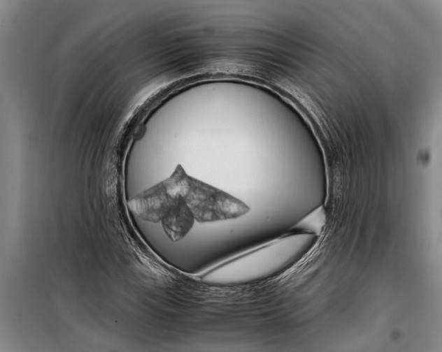 X0000099431115200805301423