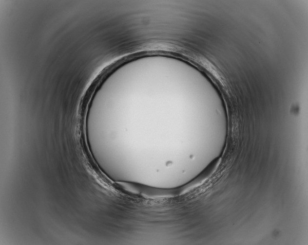 X0000099431116200805301423