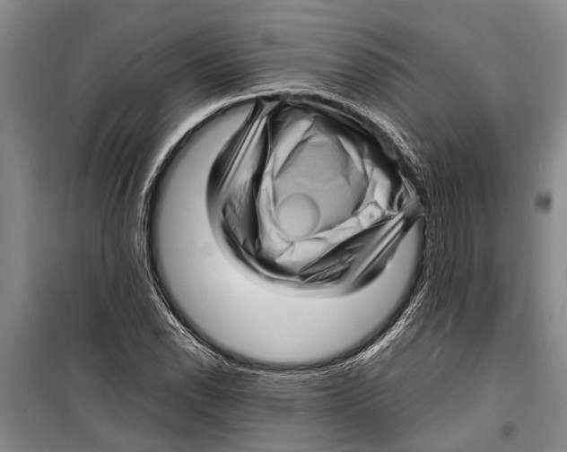 X0000099431118200805301423