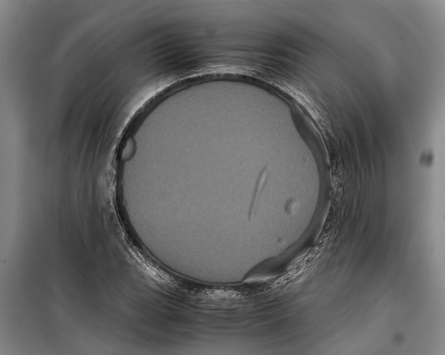 X0000099431119200805301423