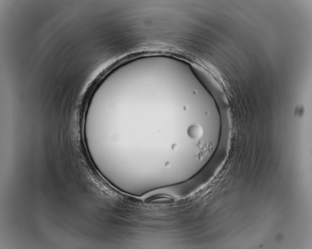 X0000099431120200805301423