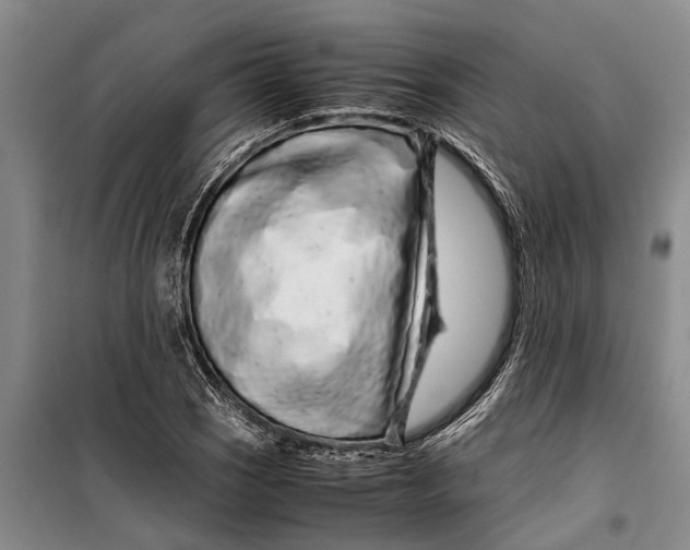 X0000099431121200805301423