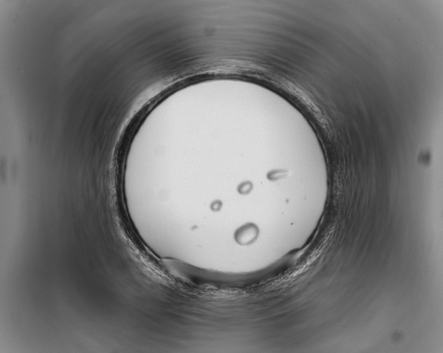 X0000099431122200805301423