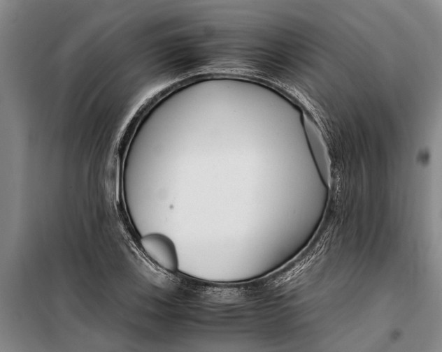 X0000099431123200805301423