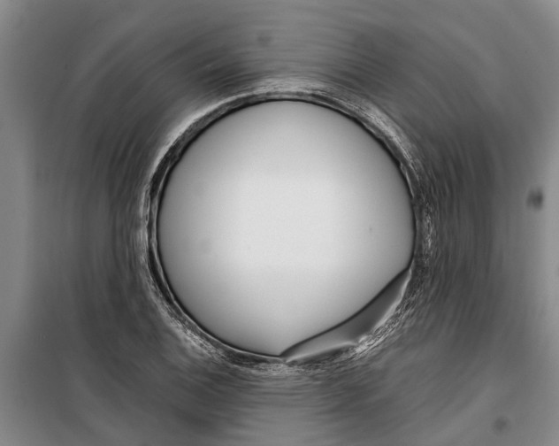 X0000099431124200805301423