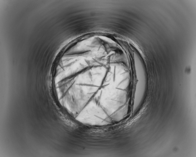 X0000099431125200805301423