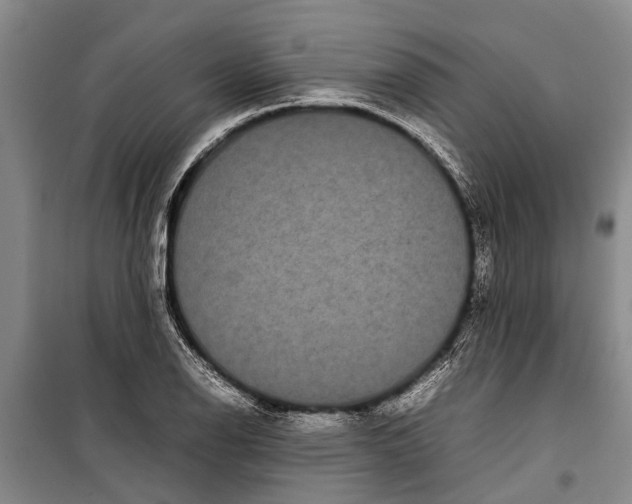 X0000099431126200805301423