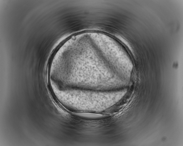 X0000099431127200805301423