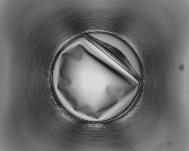 X0000099431129200805301423