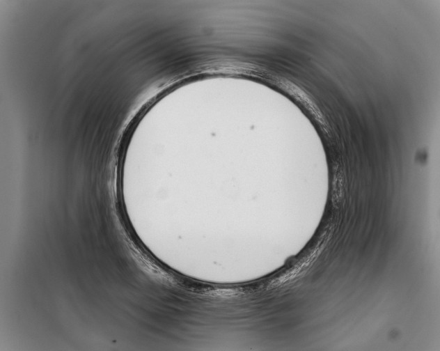 X0000099431130200805301423